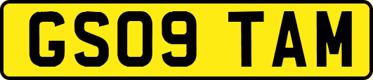 GS09TAM