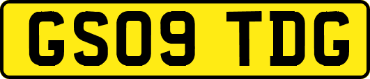GS09TDG