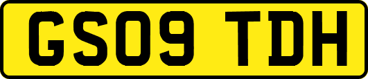 GS09TDH