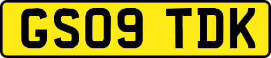 GS09TDK