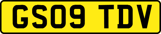 GS09TDV