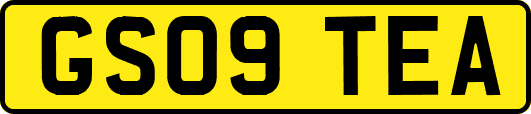 GS09TEA