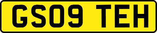GS09TEH