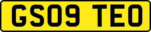 GS09TEO