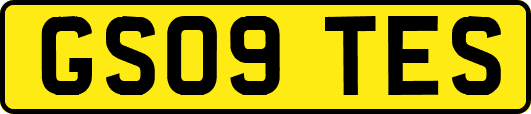 GS09TES