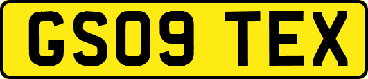 GS09TEX