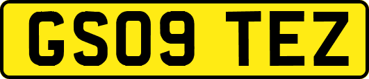 GS09TEZ