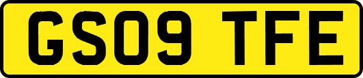 GS09TFE