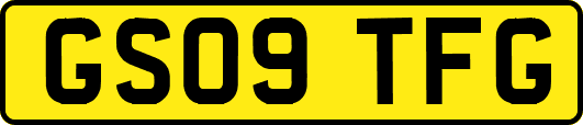 GS09TFG