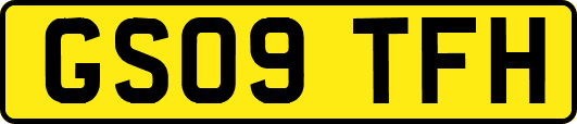 GS09TFH