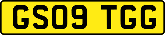 GS09TGG