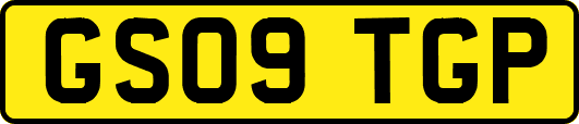 GS09TGP