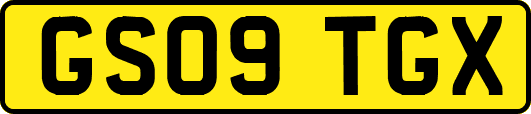 GS09TGX