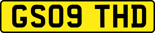 GS09THD