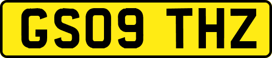 GS09THZ