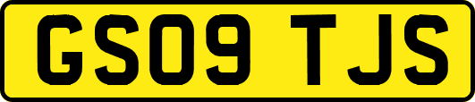 GS09TJS