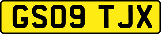 GS09TJX