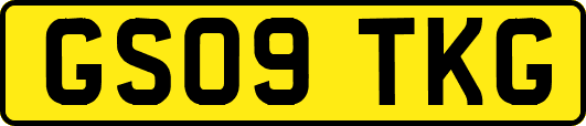 GS09TKG