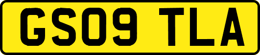 GS09TLA