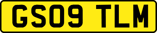 GS09TLM
