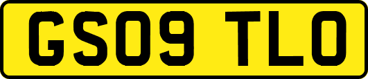 GS09TLO