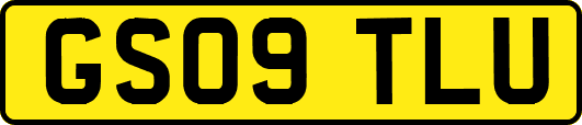 GS09TLU