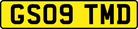 GS09TMD