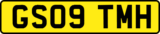 GS09TMH