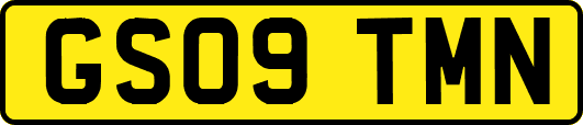 GS09TMN
