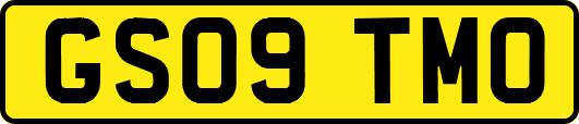 GS09TMO