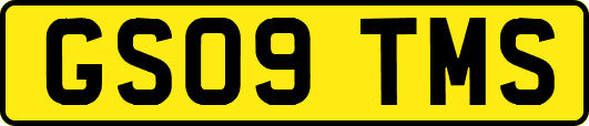 GS09TMS