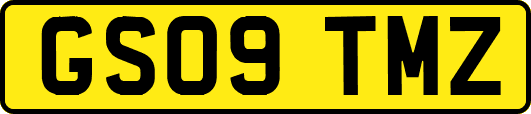GS09TMZ