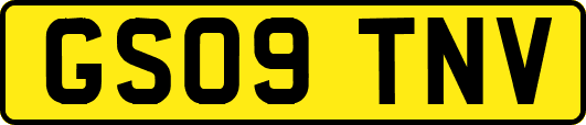 GS09TNV