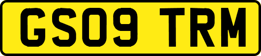 GS09TRM
