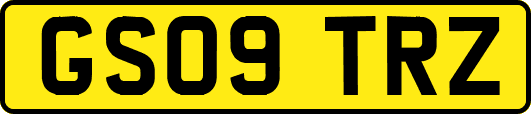 GS09TRZ
