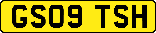 GS09TSH