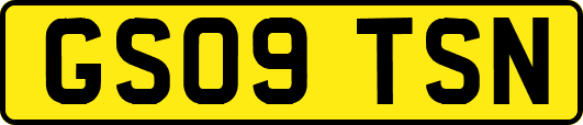 GS09TSN
