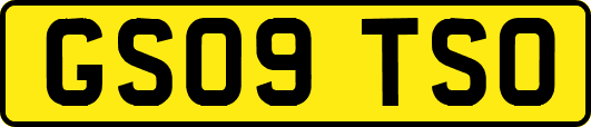GS09TSO
