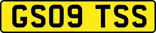 GS09TSS