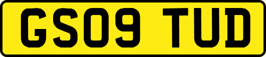GS09TUD