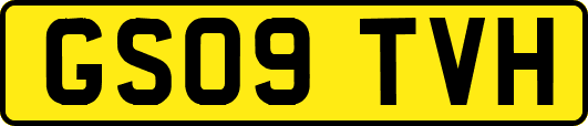 GS09TVH