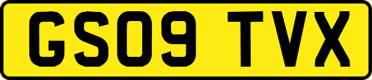 GS09TVX