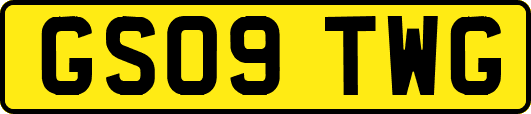 GS09TWG