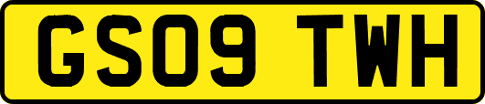 GS09TWH