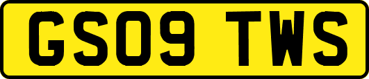 GS09TWS