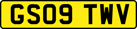 GS09TWV
