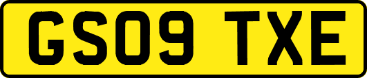GS09TXE