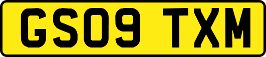 GS09TXM