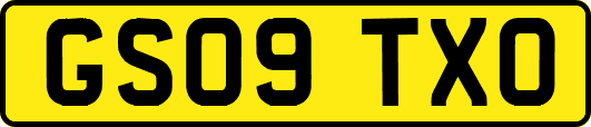 GS09TXO