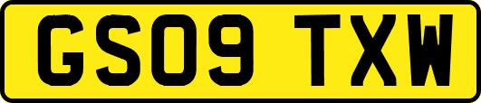 GS09TXW